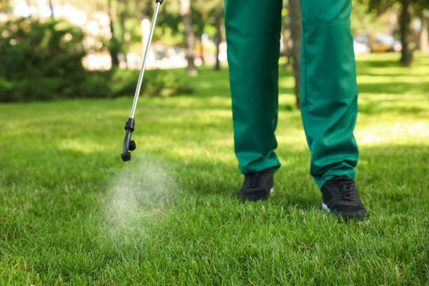 Best Mosquito Control Services  in Cordaville, MA