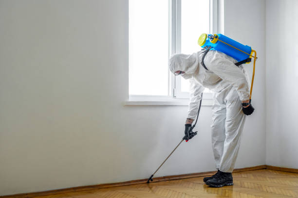 Wildlife Control Services in Cordaville, MA
