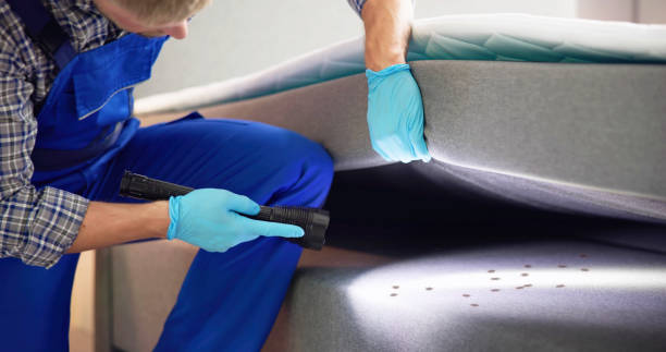 Best Affordable Pest Control Services  in Cordaville, MA