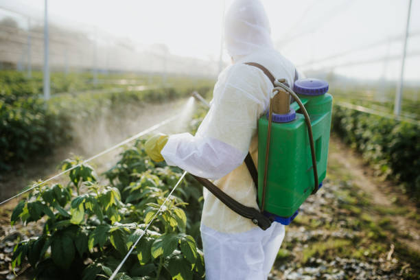 Best Residential Pest Control  in Cordaville, MA